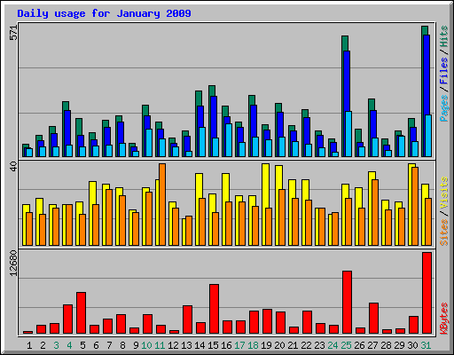 Daily usage for January 2009