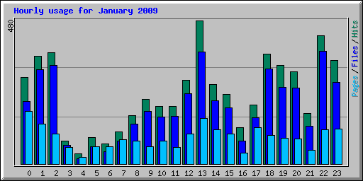 Hourly usage for January 2009